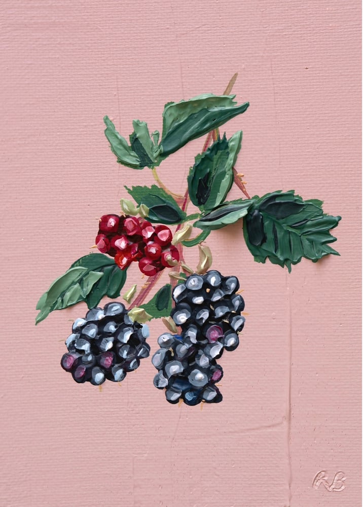 Image of Blackberries Giclée Print
