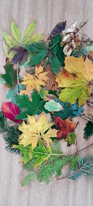 'Fallen Leaves' Monoprint Edition