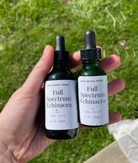 Full Spectrum Echinacea