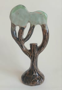 Stumpy textured trunk tree.