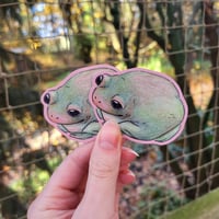 Image 2 of Round Frog Sticker