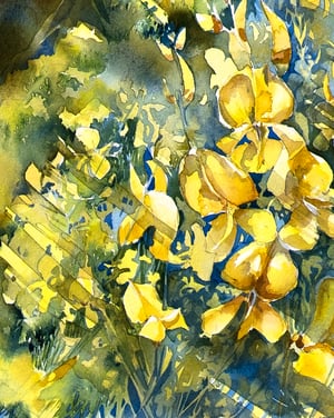 Image of Landscapes of Provence - Chateau genêts