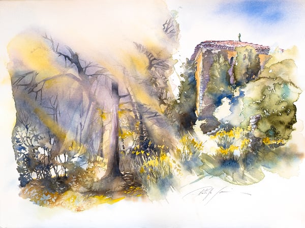 Image of Landscapes of Provence - Bastion forêt