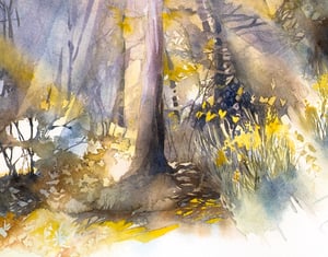 Image of Landscapes of Provence - Bastion forêt