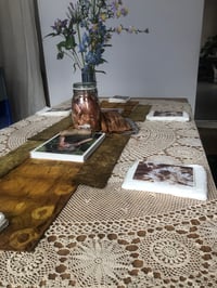 Image 5 of Introduction to Natural Dye Workshop