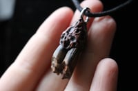 Image 4 of Dead good naturally stained sheep tooth necklace