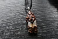 Image 7 of Dead good naturally stained sheep tooth necklace