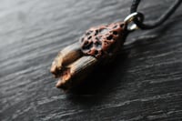Image 2 of Dead good naturally stained sheep tooth necklace