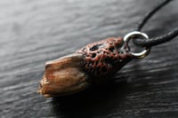 Image 8 of Dead good naturally stained sheep tooth necklace