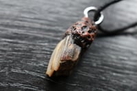 Image 9 of Dead good naturally stained sheep tooth necklace
