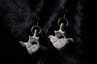 Image 1 of Dead good smaller sheep vertebrae earrings