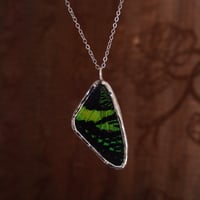 Image 3 of Sunset Moth Necklace (top wing)