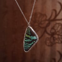Image 2 of Sunset Moth Necklace (top wing)