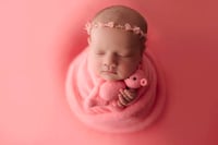 Image 1 of ROSEDALE COLLECTION | PREORDER