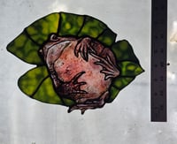 Image 2 of Pink Toad