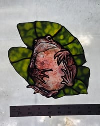 Image 1 of Pink Toad