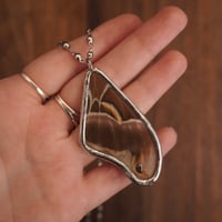 Image 2 of Silk Moth Necklace