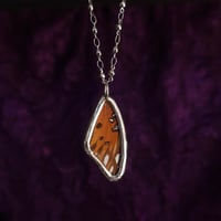 Image 2 of Passion Butterfly