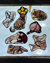 Image 3 of Medieval cat 2