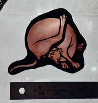 Image 1 of Medieval Cat 4