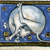 Image 4 of Medieval Cat 4
