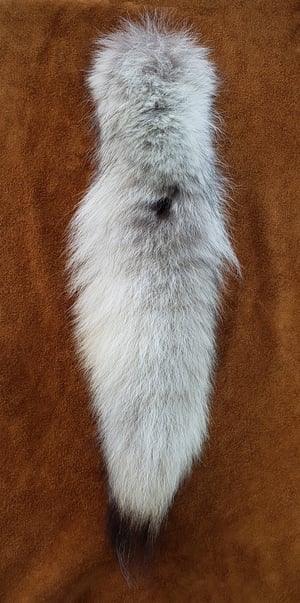 Image of Real Wolf Tail