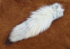 Image of Real Wolf Tail