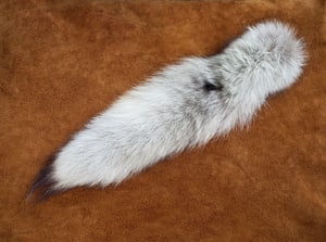 Image of Real Wolf Tail