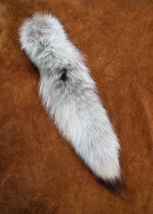 Image of Real Wolf Tail