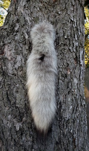 Image of Real Wolf Tail