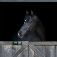 Image 1 of Dark Green Hello Horse Stable Plate – Includes Lifetime Subscription