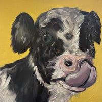Image 1 of "Cow Study" 8"x8" Painting 