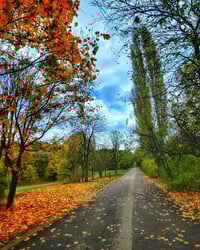 Image 2 of Maple Avenue