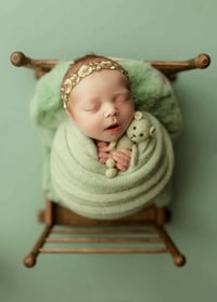 SPRINGBROOK COLLECTION | BACKDROP