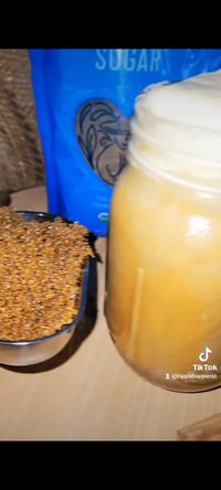 Image 1 of Pumpkin Vanilla Coffee Syrup