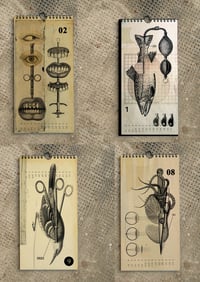 Image 4 of 2026 calendar PREORDER