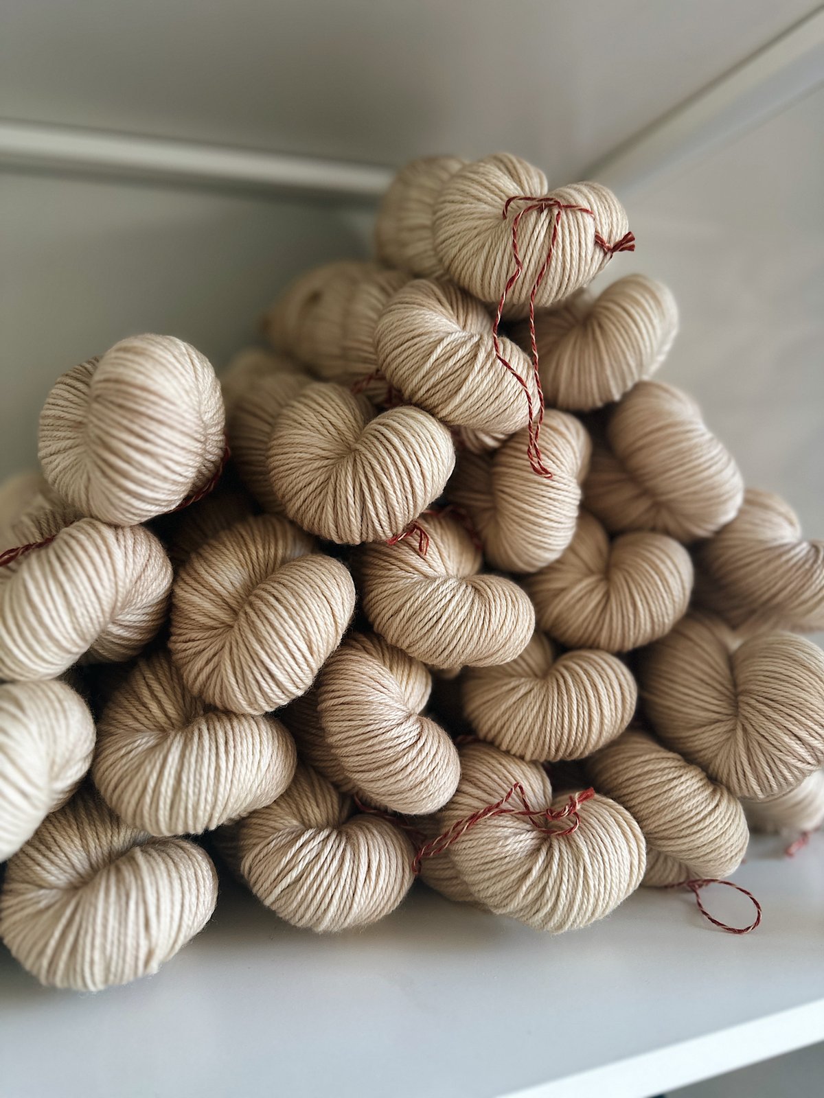 Dust Jacket (READY TO SHIP)