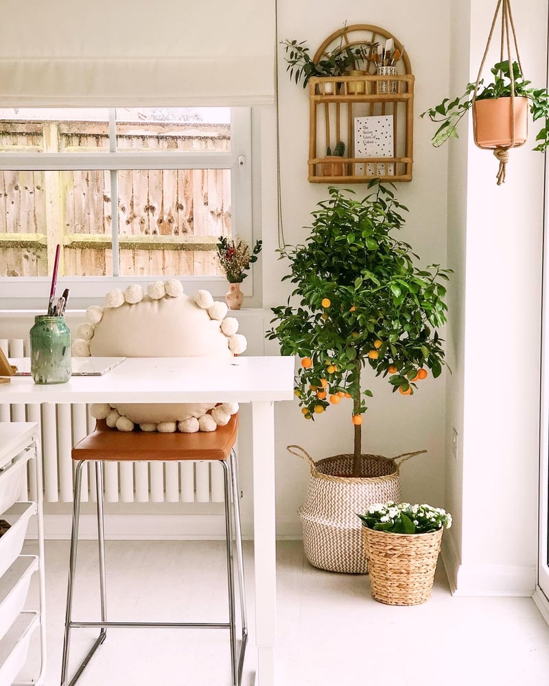 Image of Custom Order For Abbie