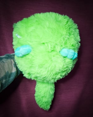 Canidae Pouf! With Glow In The Dark Eyes!!