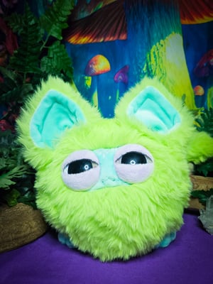 Canidae Pouf! With Glow In The Dark Eyes!!