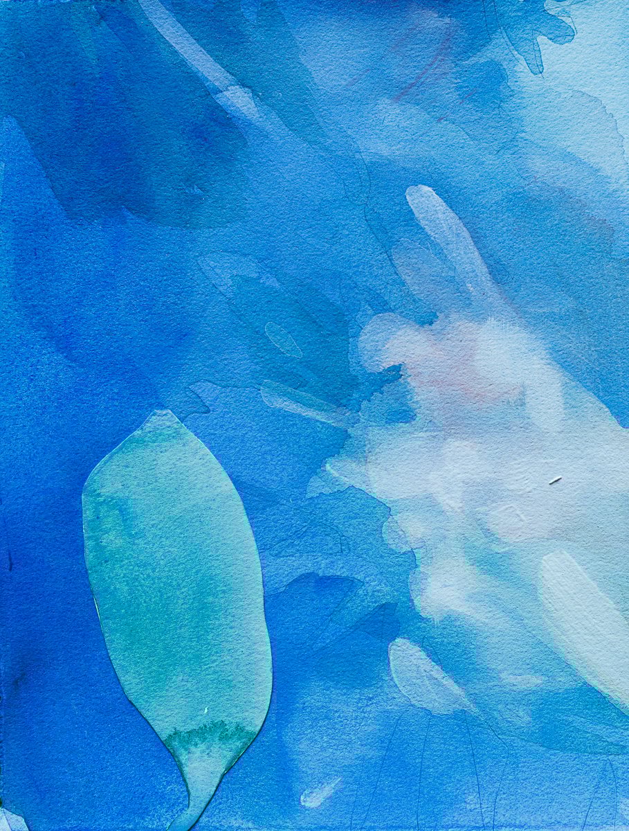 Image of Color Study 2