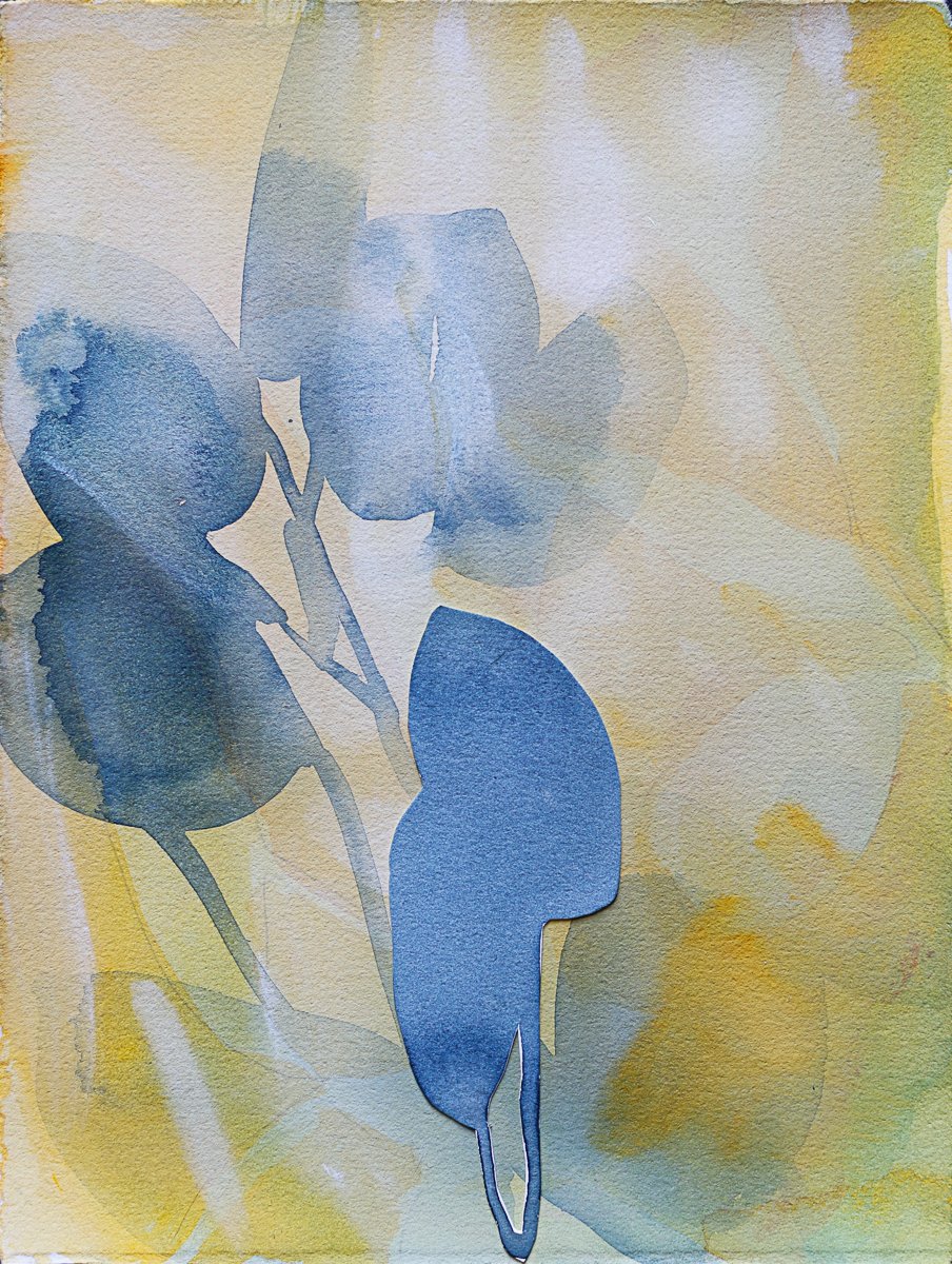 Image of Color Study 5