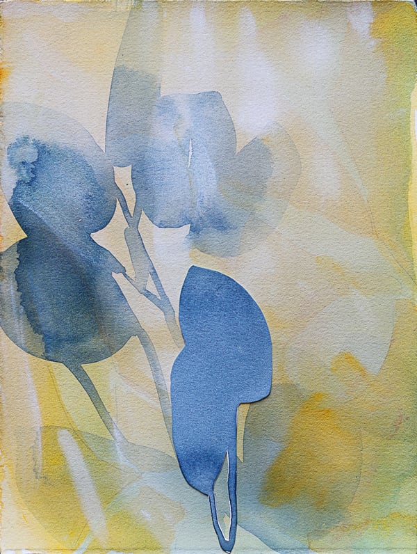 Image of Color Study 5