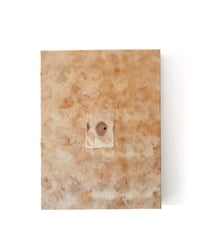 Image 1 of 'Dappled Light' ORIGINAL