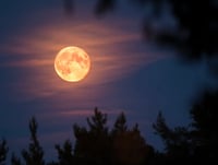 special order for Kayla