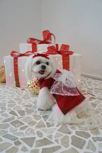 Image 2 of  BOW KNIT TOP