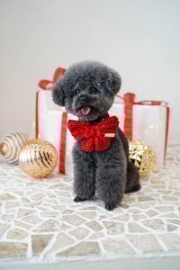 Image 2 of CROCHET BOW - RED VELVET