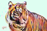 Image 1 of The Sumatran Tiger, Limited Batch Print