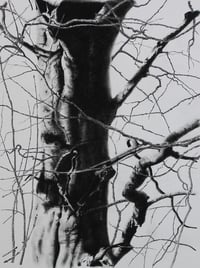 Image 2 of "Bright Morning" Greetings Card