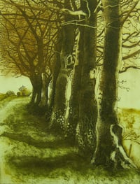 Image 2 of "Dorset Beeches" Greetings Card